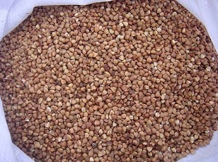 ГРЕЧНЕВАЯ крупа ядрица* 50*(10)